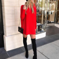 Women's Long Sleeve Turtleneck Sweater Dress