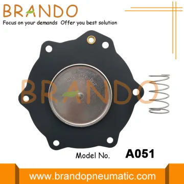 C113685 ASCO Type Diaphragm Repair Kit
