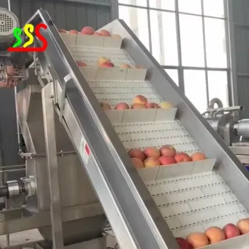 Apple Clarified Juice Concentrate Production Line