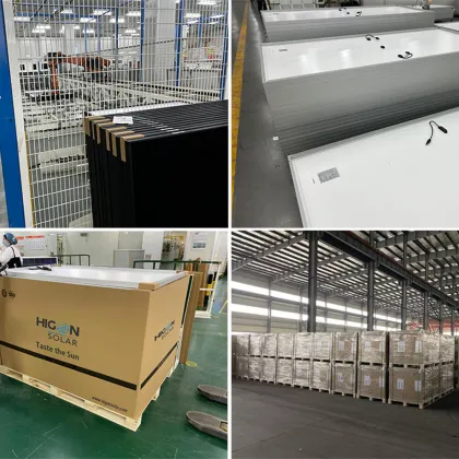 Viessmann Ae Solar Panels 450W 460W 470W 440W - Reichhaltige Erfahrungen