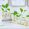 Hydroponic small vase creative glass green radish transparent small fresh water plant desktop decoration ornaments living room f