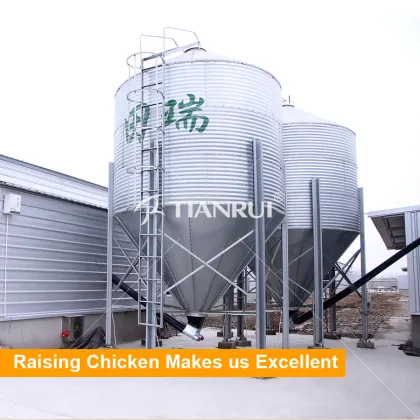 Low cost prefab chicken house steel chicken house