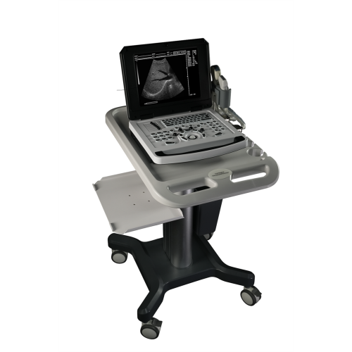 Laptop B Ultrasound Diagnostic Machine