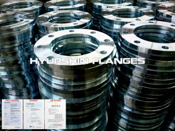 PN6 DIN2641 S235JR LOOSE FLANGE