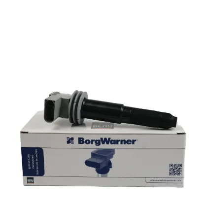 BorgWarner Ignition Coil for Porsche Boxster Cayman 911 997 9A160210407