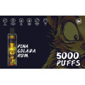 Energía 5000 Puff Bobina de malla recargable desechable