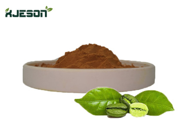 Natrual Weight Loss Green Coffee Bean Extract