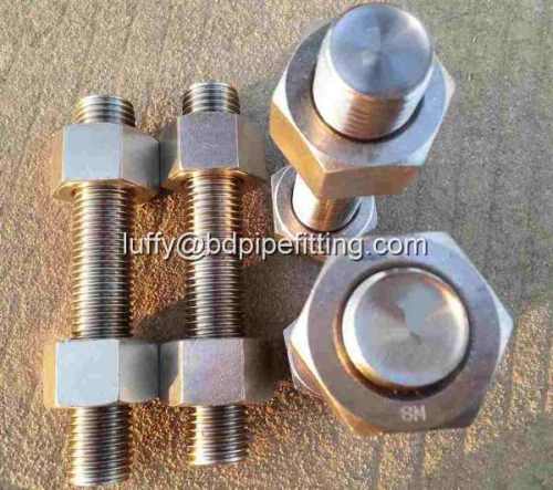 TEFLON COATED STUD BOLTS และ NUTS PTFE Fastener