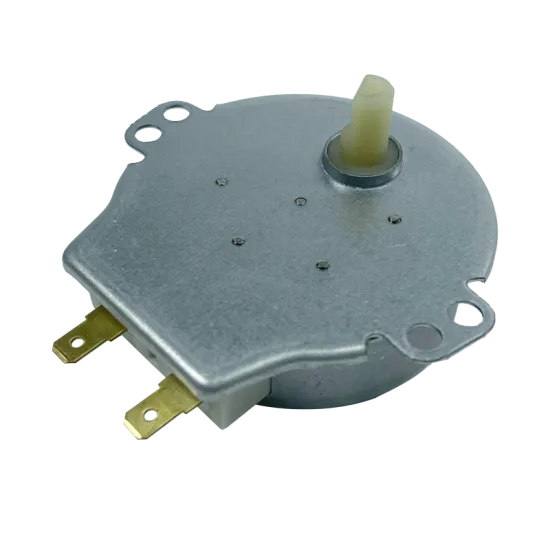 220-240V AC Synchronous Dishwasher Motor