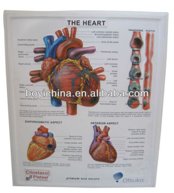 Heart design PVC embossed poster 3D picture