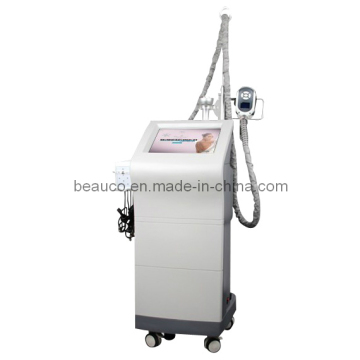 RF Cryolipolysis+ Vacuum+RF Freeze Fat Weight Loss
