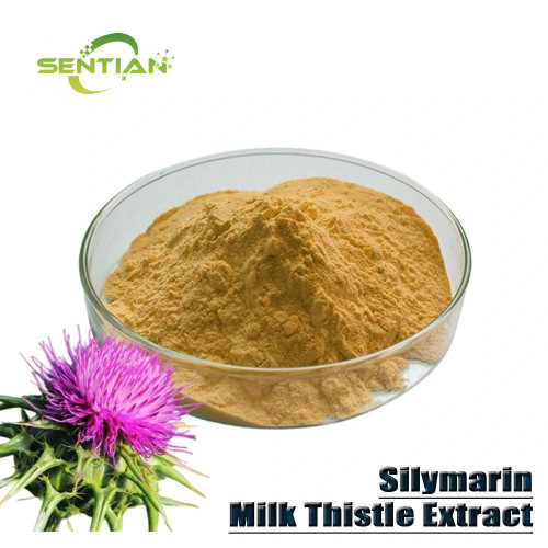 Milk Thistle Extract Silymarin
