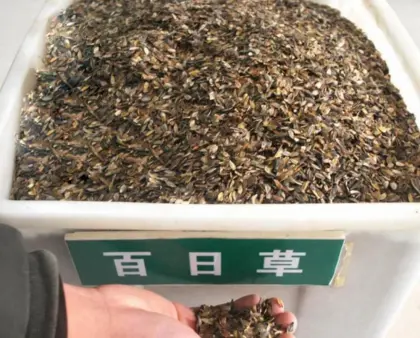 Flower seed germination table