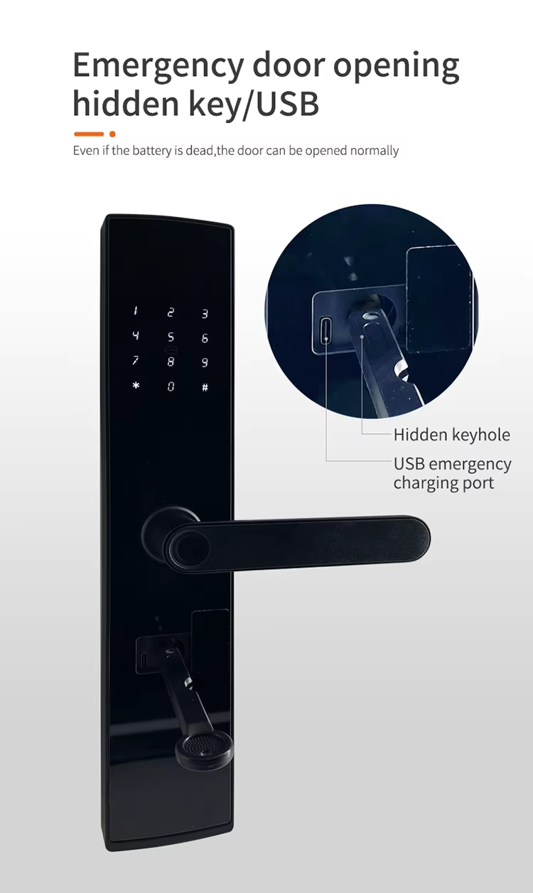9 1 Bluetooth ttlock door lock