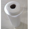 white rigid PP sheet in roll for thermoforming