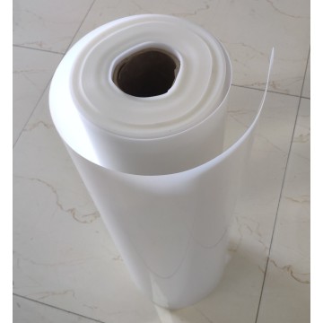 white rigid PP sheet in roll for thermoforming
