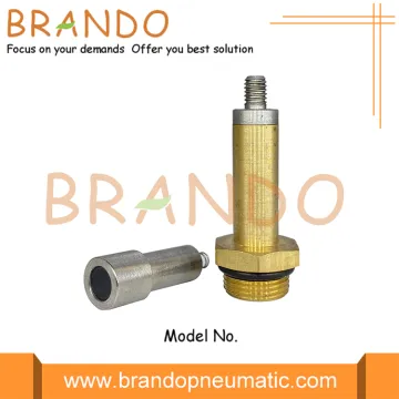 9.5mm OD LPG CNG Solenoid Plunger Armature Assembly