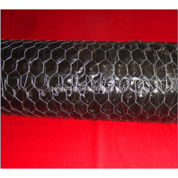 Galvanized Hexagonal Wire Netting