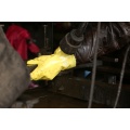 Yellow PVC coated gloves cotton linning