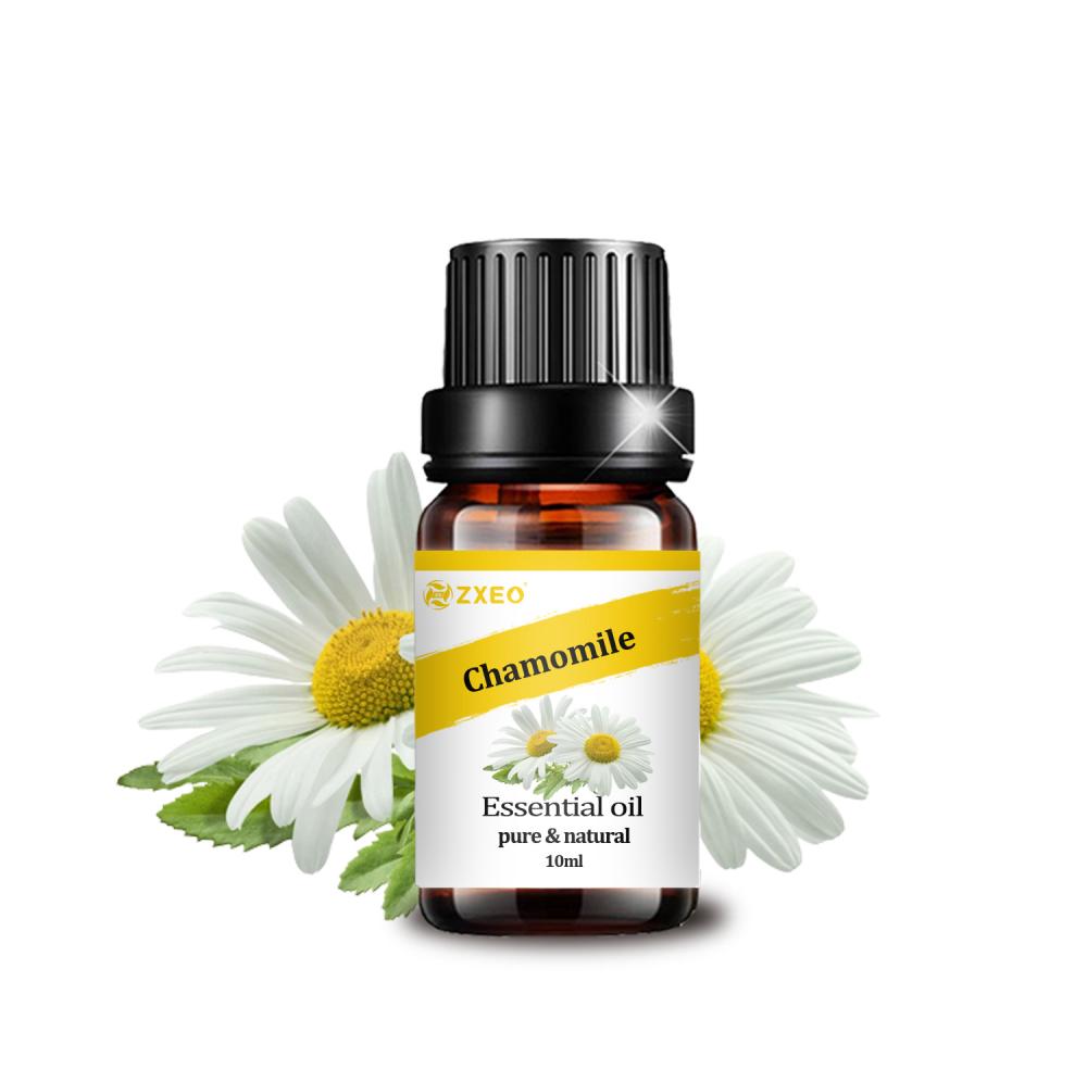 Bulk Wholesale Therapeutic Grade Natural Pure Chamomile Flower Essential Oils Chamomile Oil For Aromatherapy