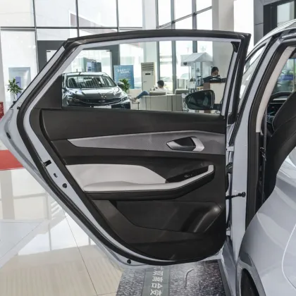 Binrui 2024 Binrui COOL 1.5T Geely Automotive