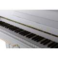 Williamsames S5W Upright Piano White Gilt 매트 홈 125cm 어쿠스틱 피아노