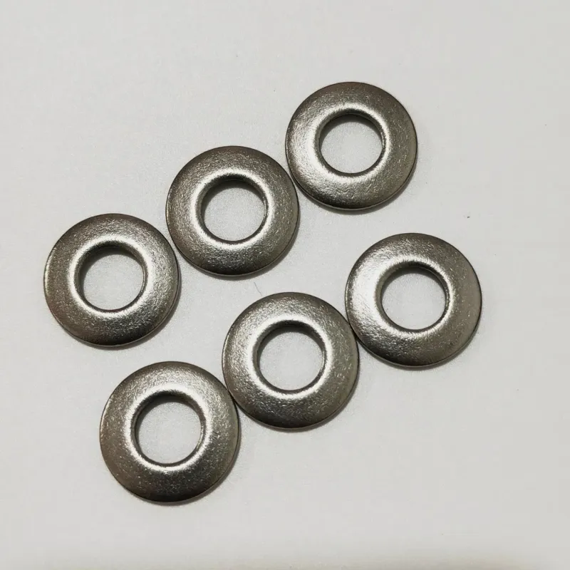 High Quality Ruiqin DIN6796 SS304 Belleville Spring Washer