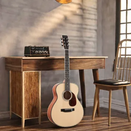 Hailun HL 1 Musical Instruments & Accessories: Elegant Guitar