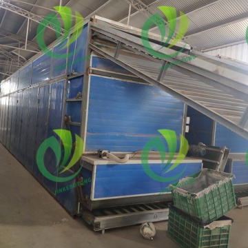 Durable and Effective Food Drying Belt Solution