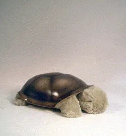 twilight turtle
