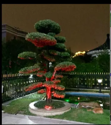 Spotlight Outdoor Solar Lighting