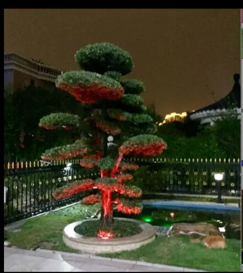 Solar Underwater Pond Lights