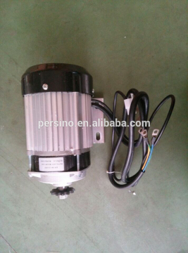 24v ,36v 48v 350w brushless dc motor water pump