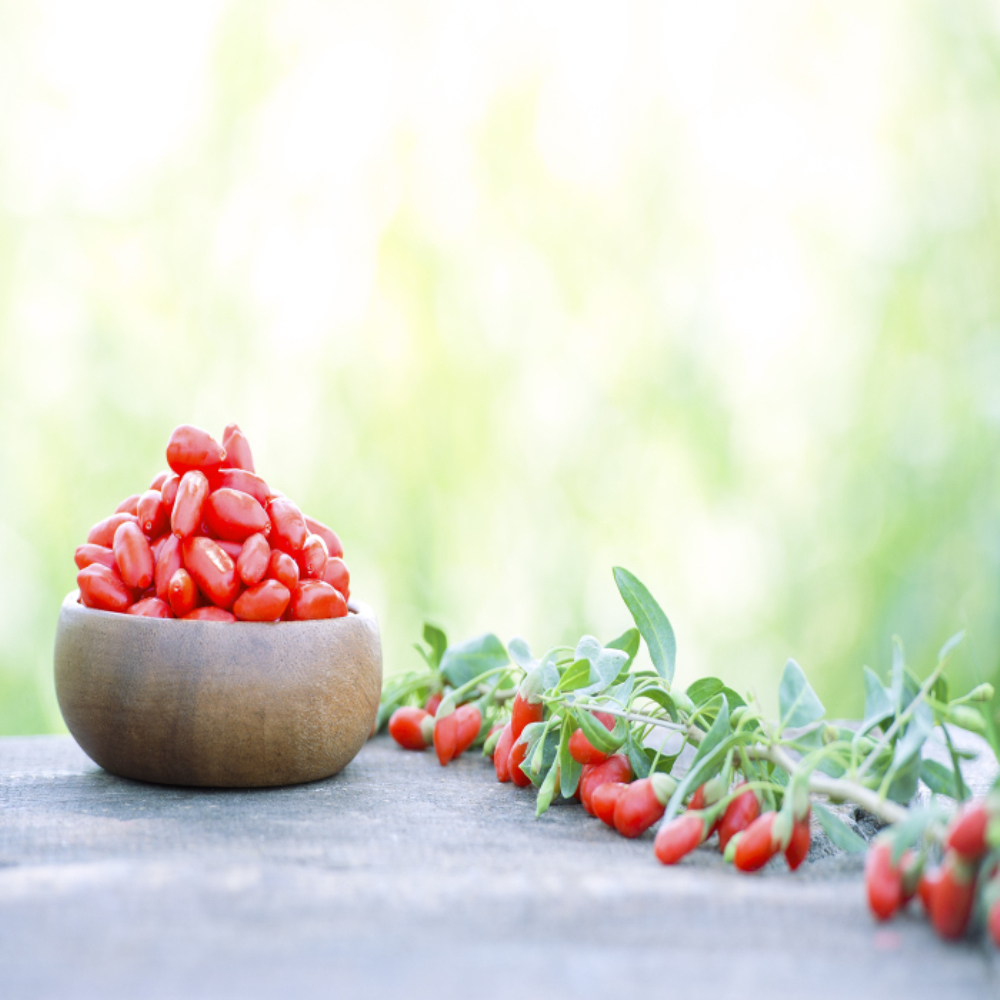 Baga de goji de superalimentos orgânicos de venda quente