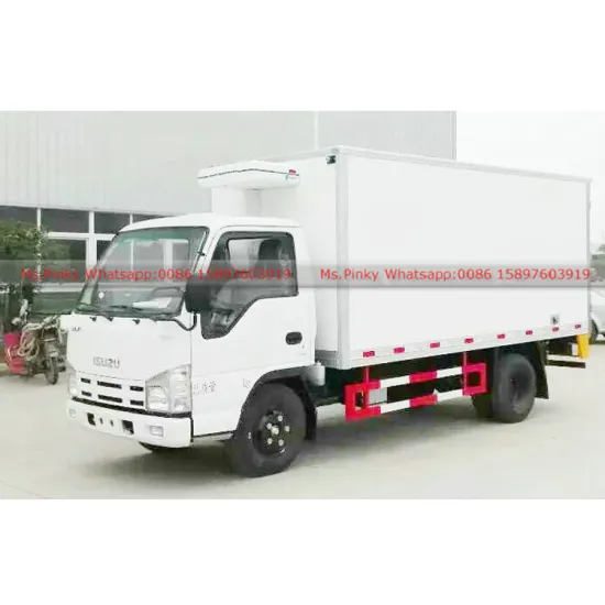 Japanese brand Mini 100P Frozen Tuna Loin Refrigerated Cold Room Truck Cooling Van Body Export to Rwanda