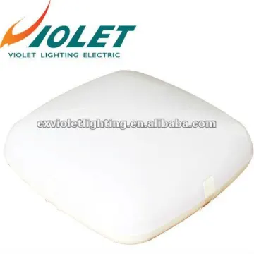 Ceiling Square Light Fixture