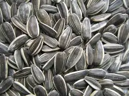 sunflower seeds Exporters turkish sunflower seed cheap sunflower seeds
