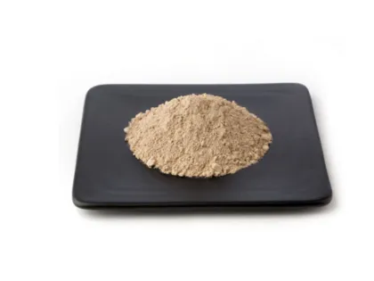 Supply Pure Natural Fucoidan Powder CAS# 9072-19-9