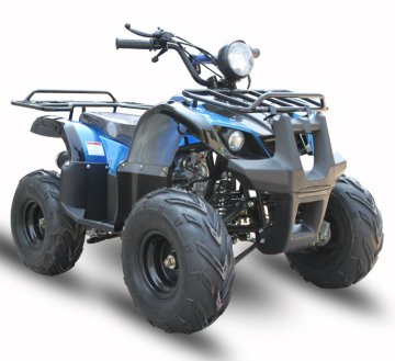ATV ATA110-D