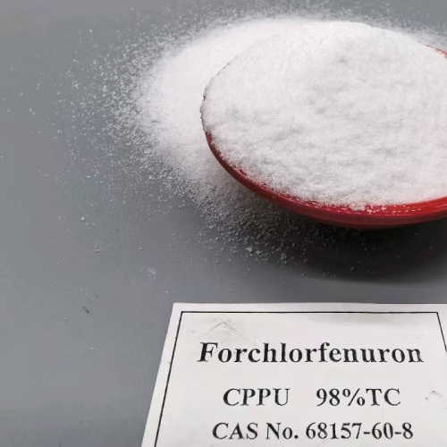 ฟังก์ชั่นและการใช้งาน KT30 ในอียิปต์