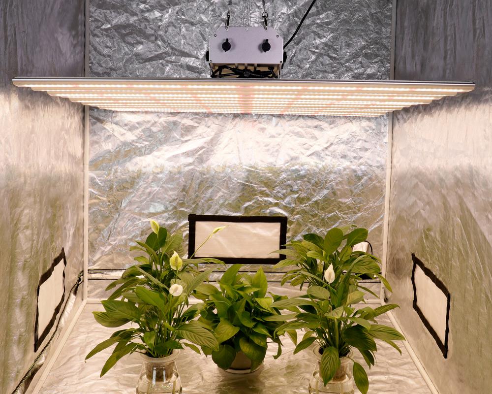 Newest Led Grow Light Plants Lamp for Sale