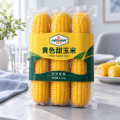 Sladká žlutá vosková kukuřice bez GMO 1,5 kg