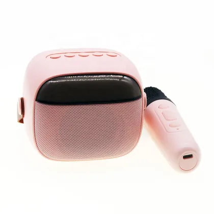 CE ROHS Custom Logo K30 Portable Karaoke Microphone Speaker Kit with 2 Microphones