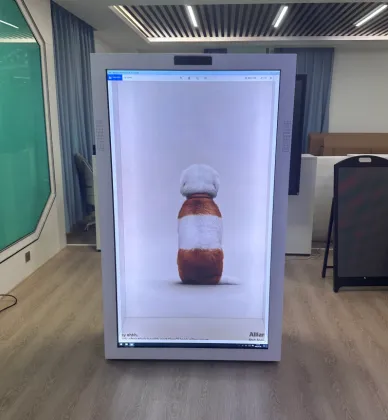 Holographic AI Human Box for Smart Healthcare Guidance