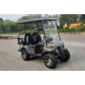 Eğlence ve Rekreasyon için Dört Kişilik Golf Arabası