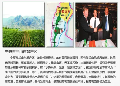 Chateau Bacchus 2010 Special grade Dry red wine