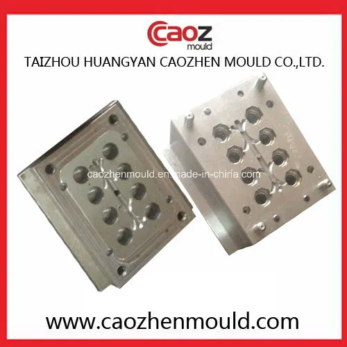 High Quality Plastic PPR Fitting Mould with Brass