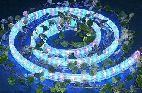 Square 2 wires led rope light