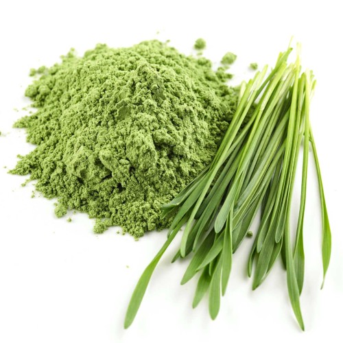 Supply Grass Fruit Extract Powder