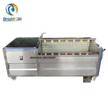 Food Washer and Peeler Machine: Brightsail Ginger Onion Potato Carrot Roller Cleaning Machine